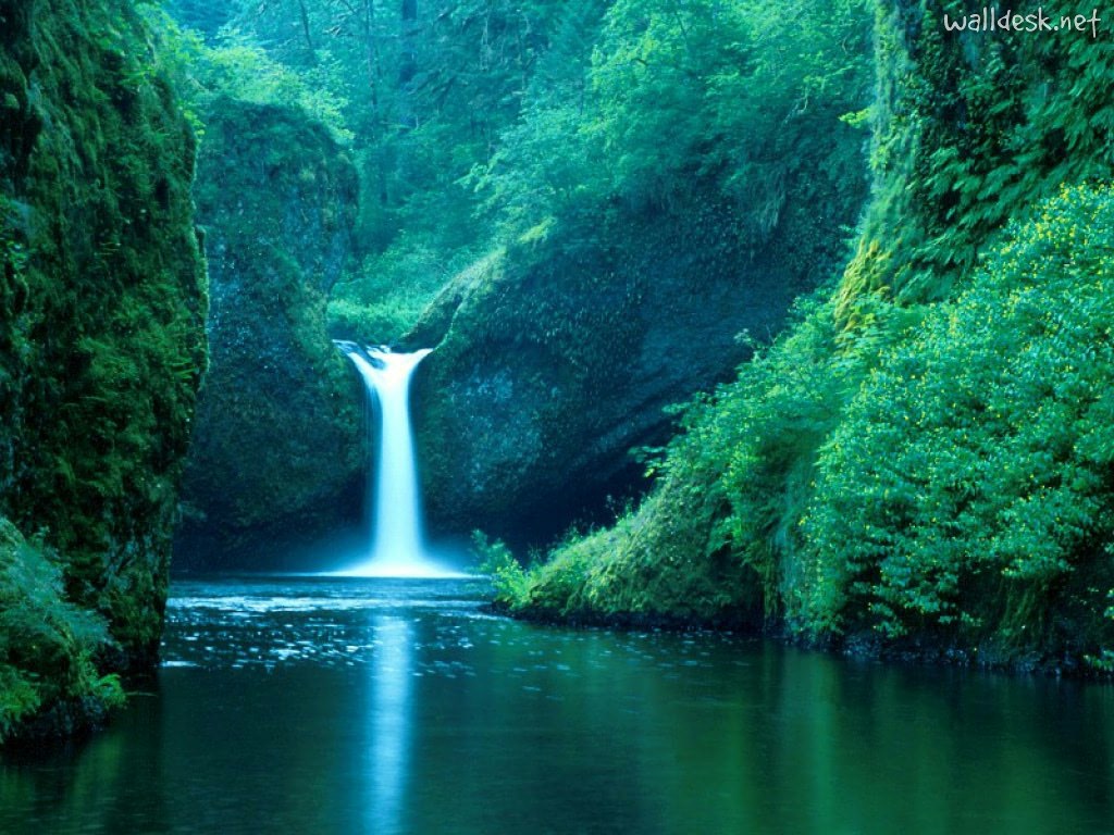[Image: Punch-Bowl-Falls_-Columbia-River_-Oregon.jpg]