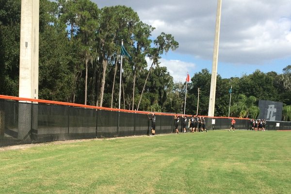 New Orange fence top cap!