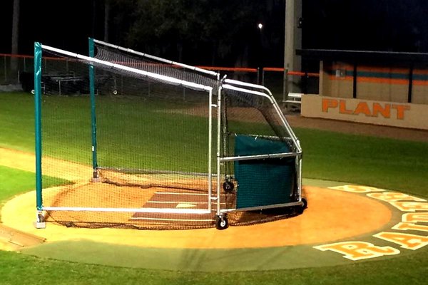 New Hitting Turtle