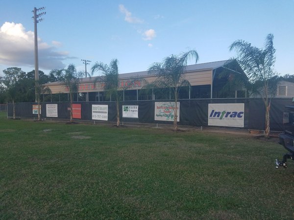 New palm tree additions to the field