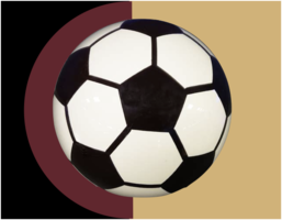 Rouse High School Soccer Winter 2022/2023 Schedule